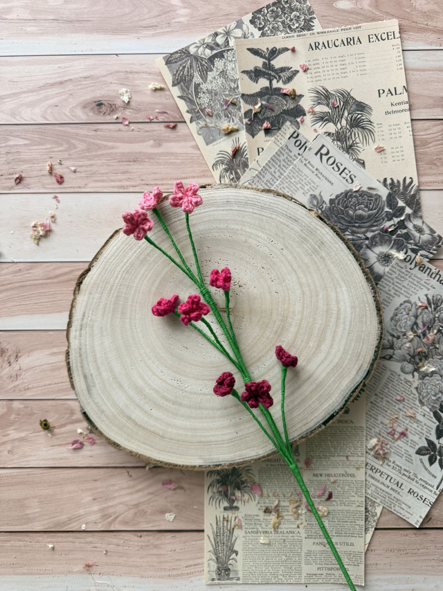 Gypsophile dégradée (personnalisable pour créer votre bouquet)