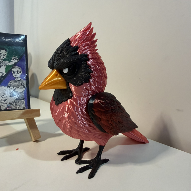 Cardinoé l'Uccello Cardinale che ti giudica 