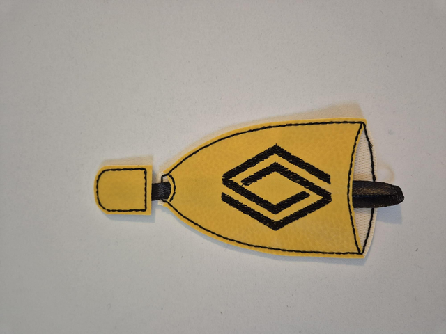 Etui à clé Renault 