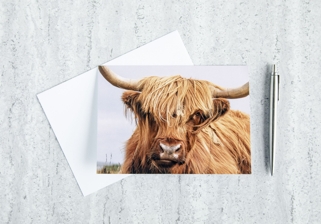 Heilan Coo Blank Card