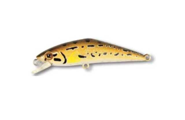 D-Contact 63 Color L1