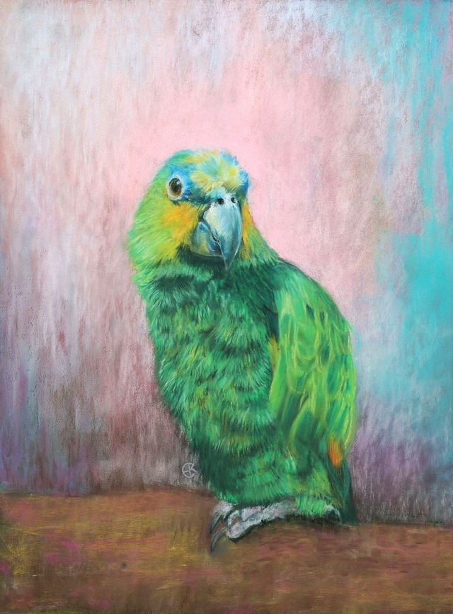 Greeting Card 'WIMPIE'  (Flappus) 