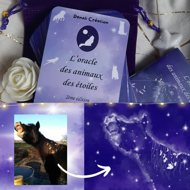 Oracle + dessin personnalisé