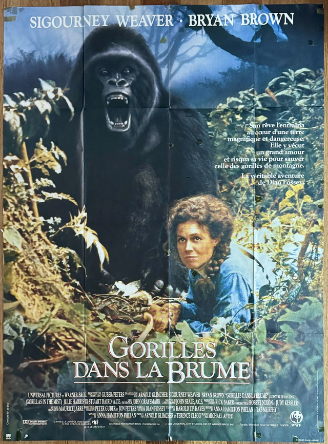 Gorillas In The Mist 