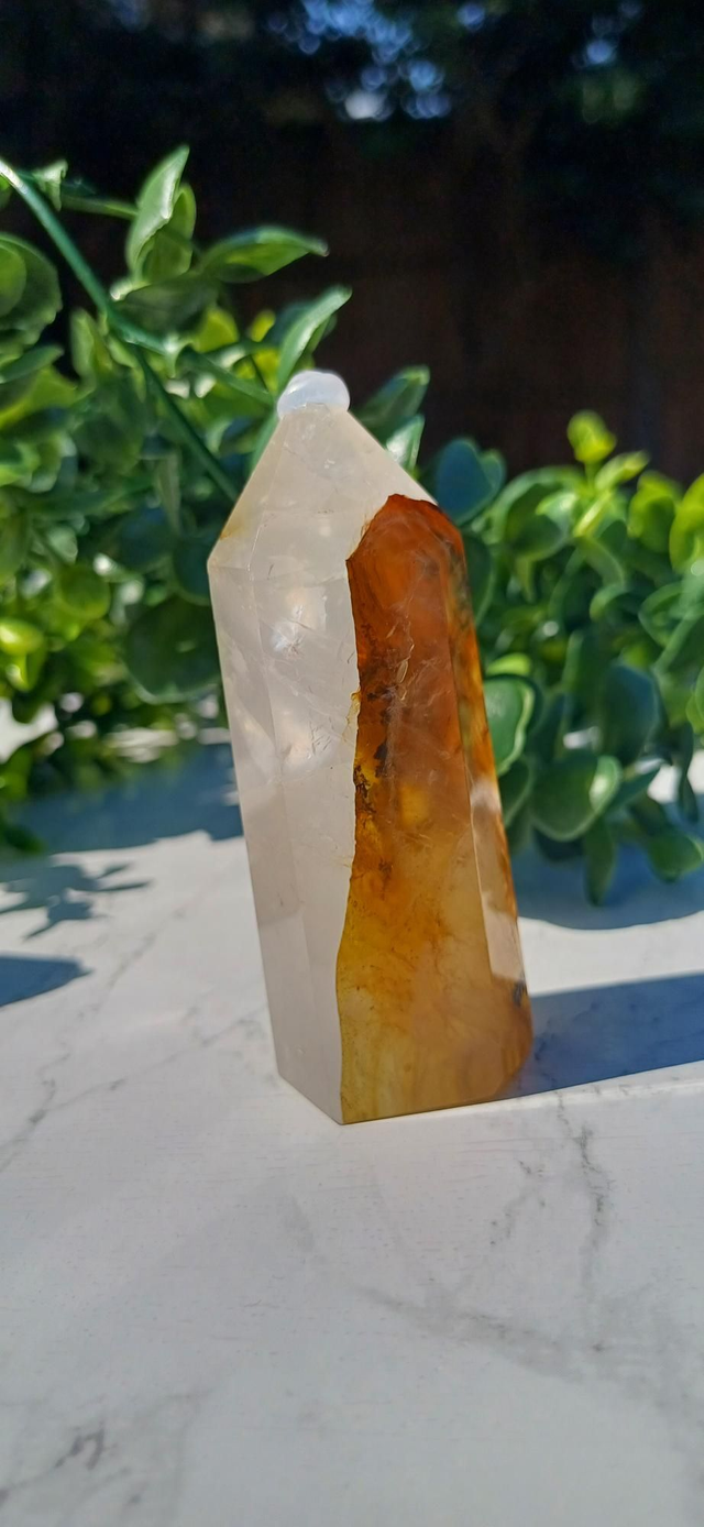 Dentritic Golden Healer