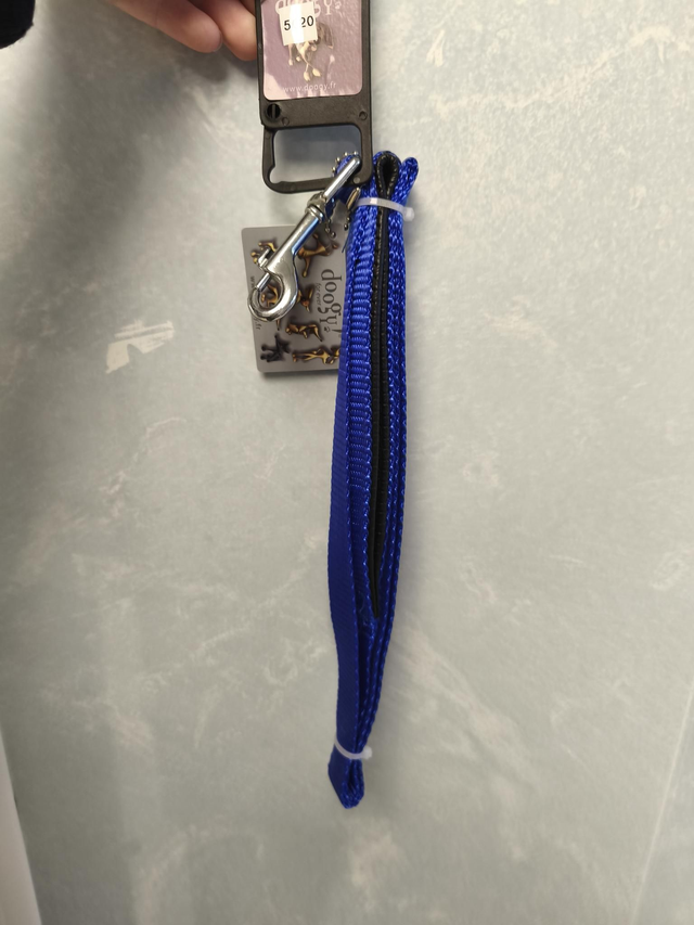 Laisse confort "basic" bleu 20mm x 1,2m