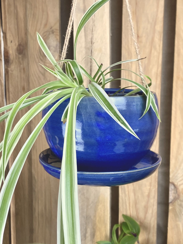 Pot suspendu_Taille L_Bleu nuit