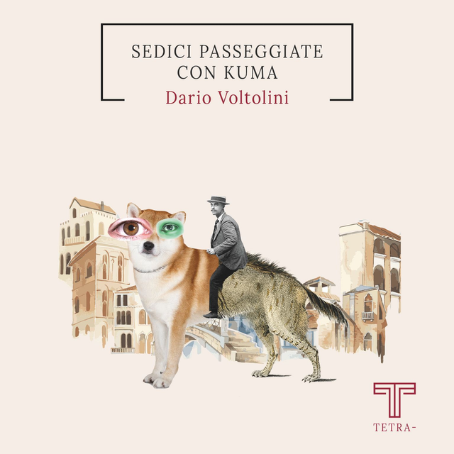 Voltolini Dario - Sedici passeggiate con Kuma