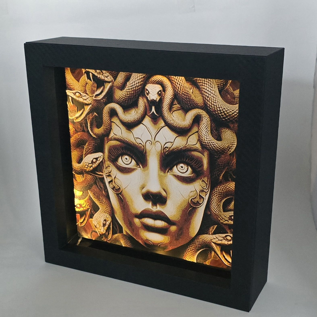 Tableau Lumineux Méduse