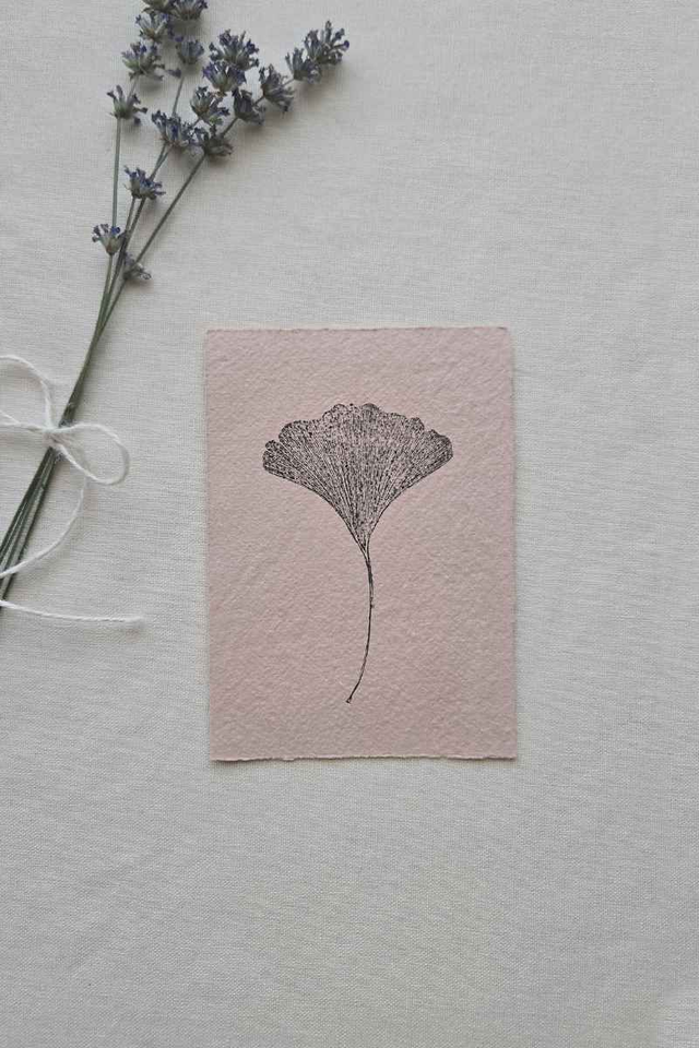 Monotype Végétal Ginkgo Biloba Impression Unique sur Papier Châtaigne