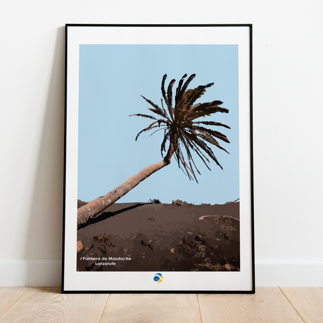 Lámina Palmera de Masdache