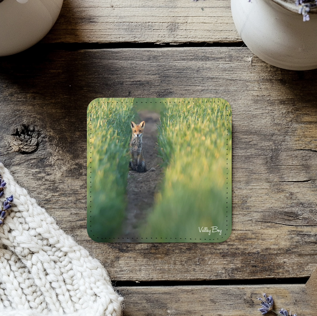 “Early Morning Fox” Coaster  