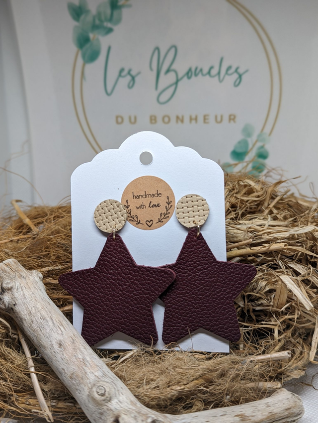 Boucles d&#039;oreilles Star s003