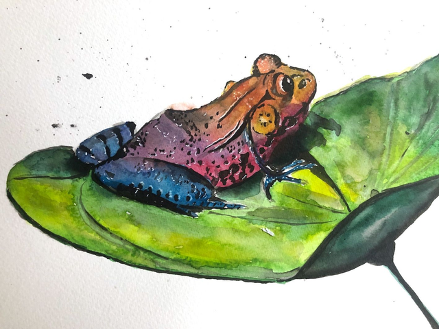 13 - 20/06/26 Mixed media: paint animal with watercolour and ink for adults