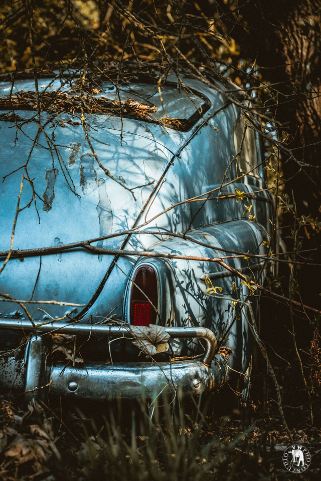 "Fast mais plus furious" Tirage Fine Art sur Alu-Dibond 30x45cm