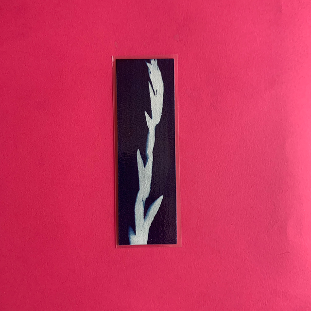 Marque page cyanotype végétal original sur papier épais et plastifié
