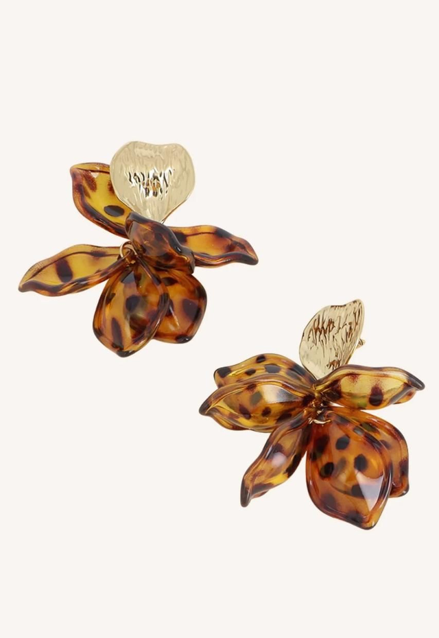 Boucles d'oreilles Latte