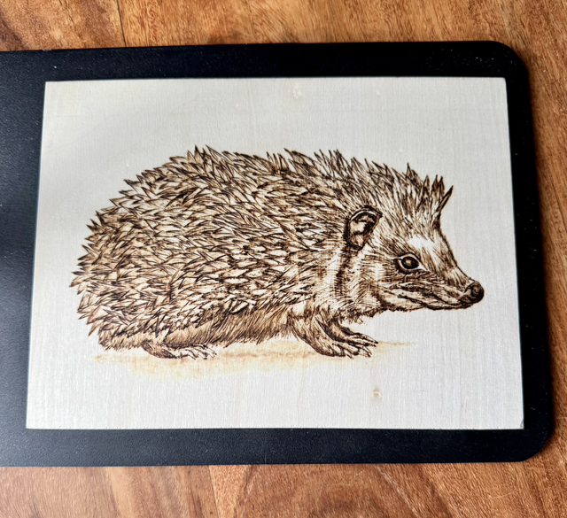 Saturday 19th September Hedgehog Inspired Pyrography Workshop Ecclesall Woods