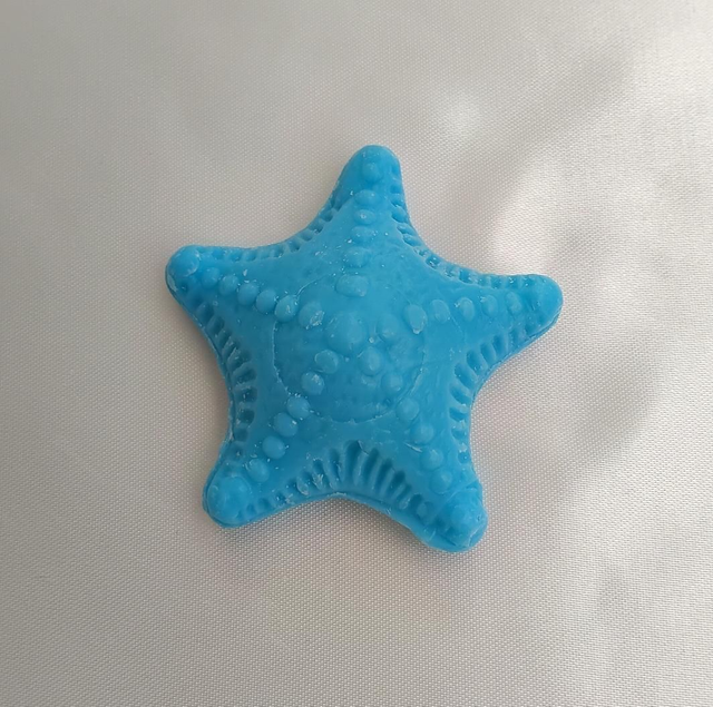 Petit étoile de mer " Turquoise "