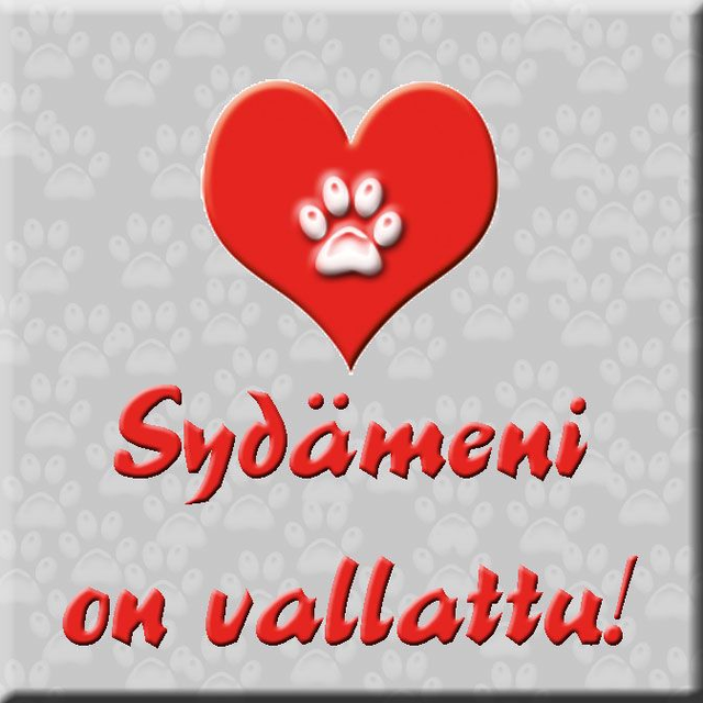 Magneetti "Sydämeni"