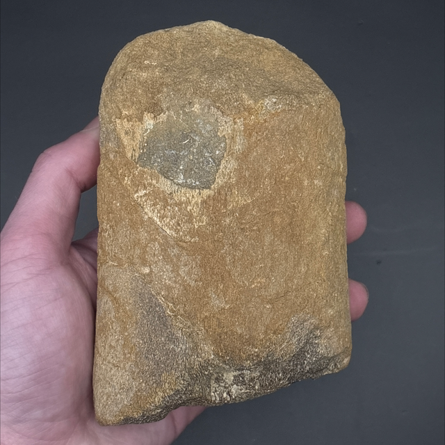 Pliosaur Flipper Bone