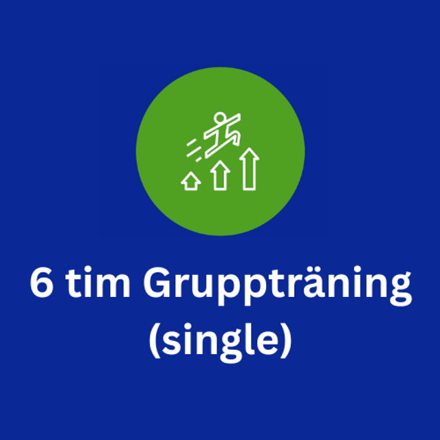 6 tim Gruppträning (single)