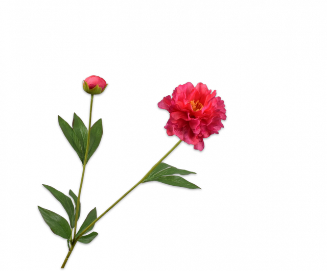 Silk-Ka Pioen Tak Beauty 65cm 