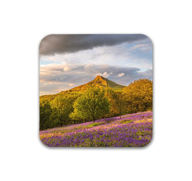 Bluebell Carpet, Roseberry Topping