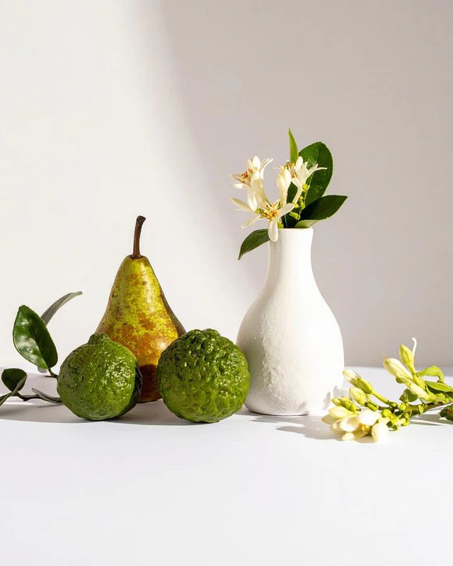 PARFUMS NOX - 2421 Évoque L interdit Givenchy