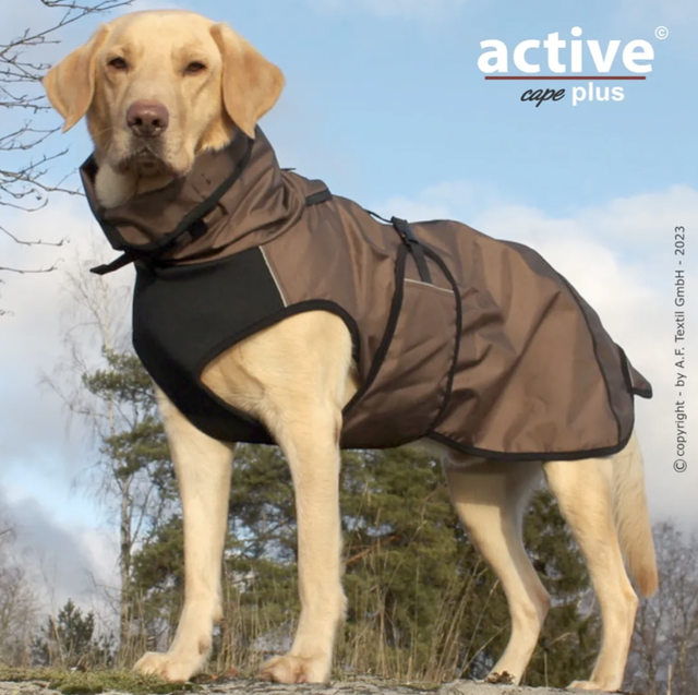 Elastic Light, Active Cape