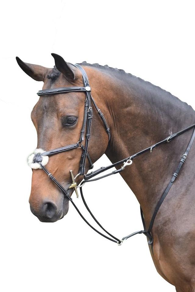 Enrênement JUMP'IN Howlett / Thiedeman