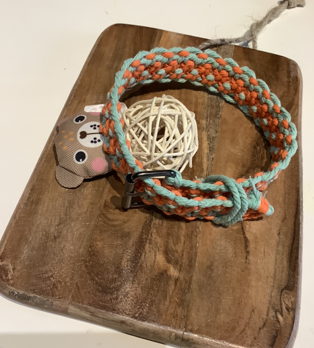 Collier chien « Ula »
