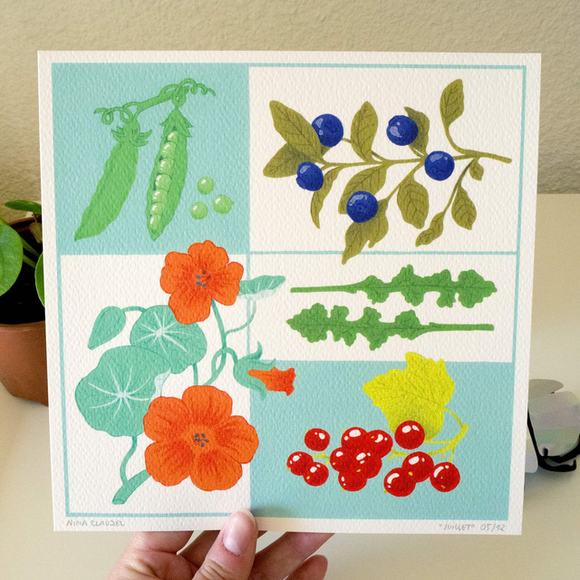 Illustrations du calendrier 2024