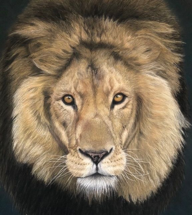 Greeting Card 'DIEGO'  (FELIDA Big Cat Sanctuary)  