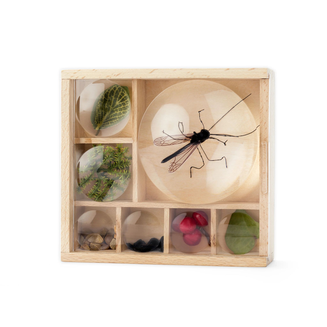 My Little Museum | Huckleberry Kikkerland