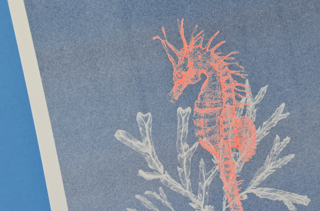 Affichette A4 Abysses - hippocampe -