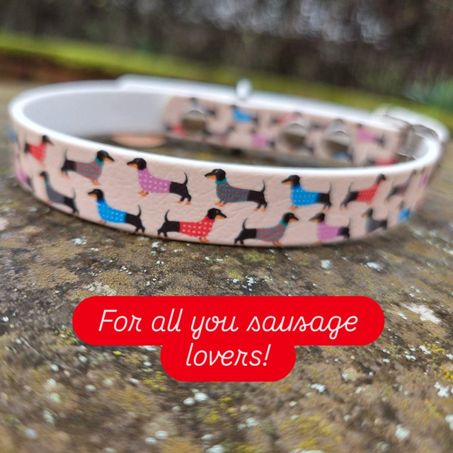 Dachshund printed collar to fit 12-15 ins neck
