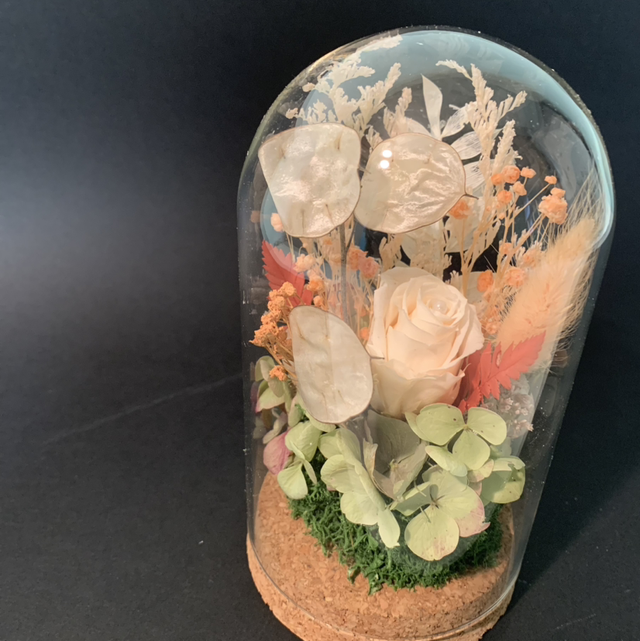 Cloche en verre