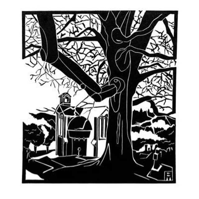 The Gnarled Old Tree