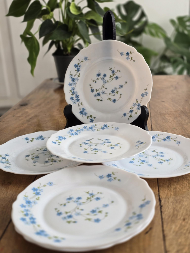 Assiettes à dessert Arcopal Myosotis 