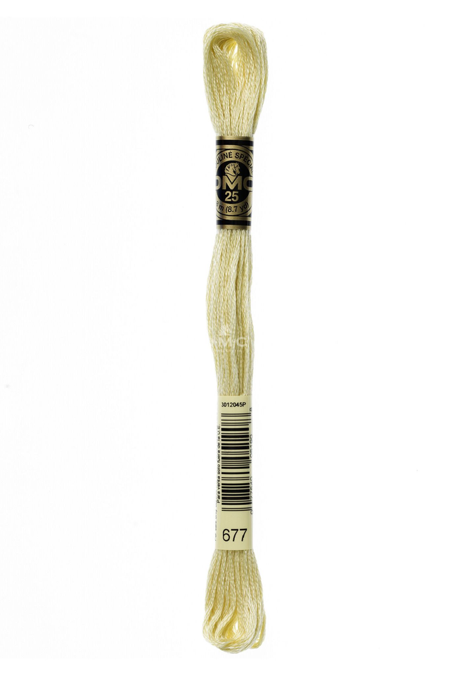 N°677 Mouliné Spécial DMC