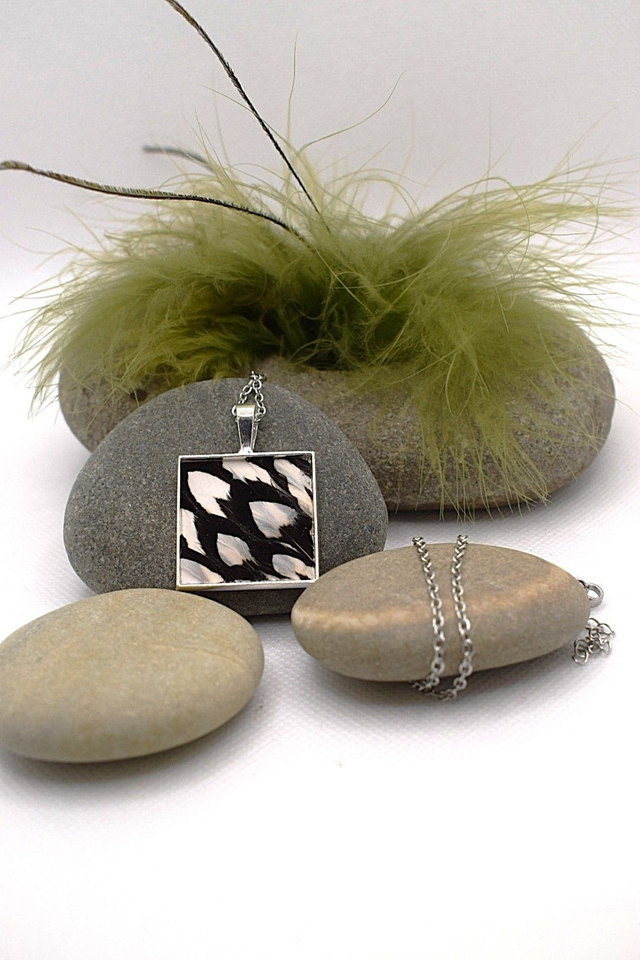 Collier faisan vénéré