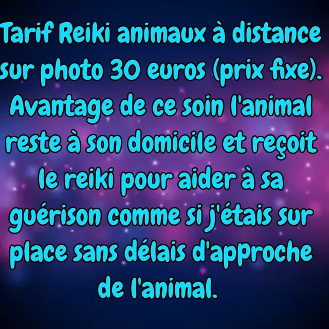 Reiki pour animaux