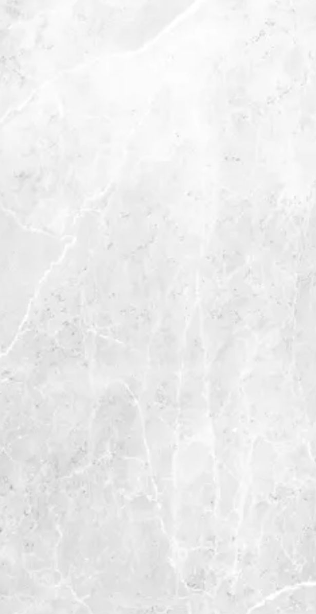 KERMOS/RAW Aluverbundplatten !Z Natural Stone Light Grey 2550x1250x3 mm