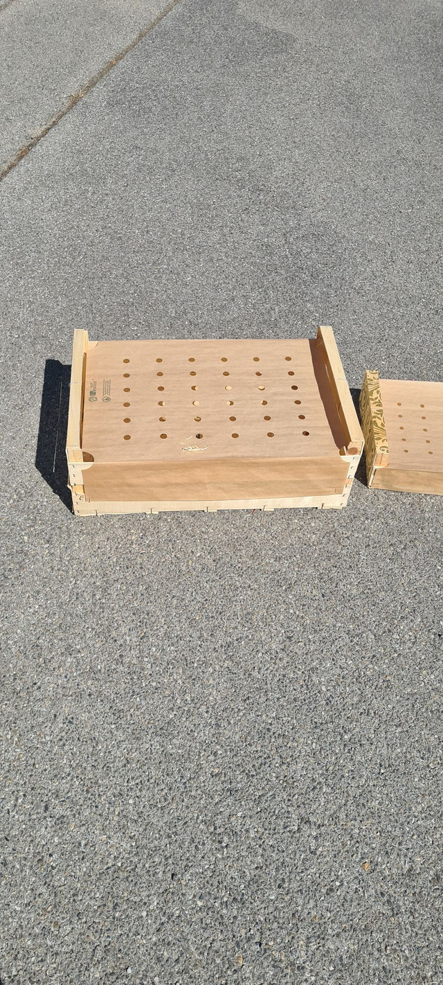 Complexes 100% kraft pour caisse 60X40 avec prépliage boites de 1 000