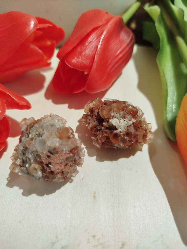 Fleur D'Aragonite
