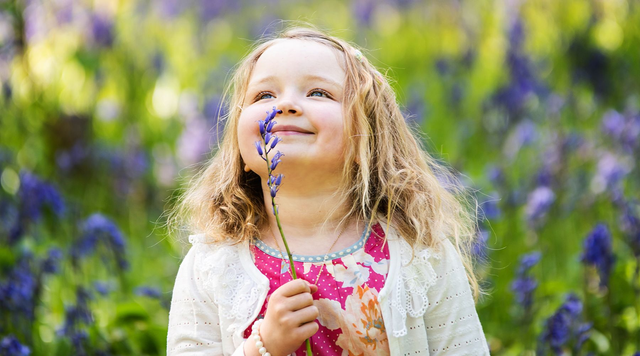 Bluebells Mini Photo-Shoot