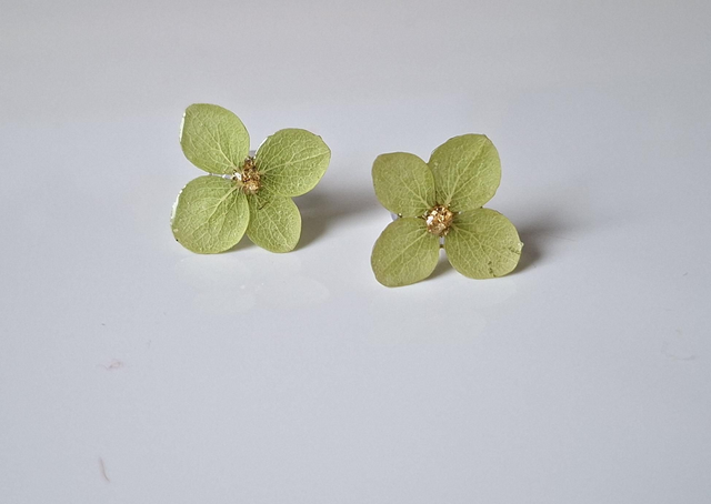 Puces d’oreilles "Green Annabelle" — Hortensia Véritable Acier inoxydable 