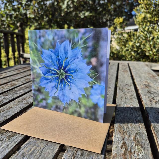 Nigella greetings card