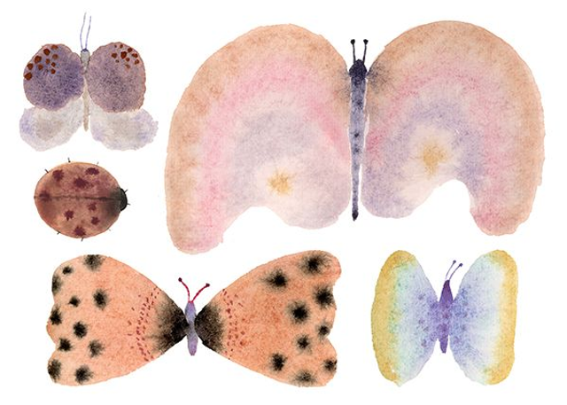 butterfly ladybird postcard